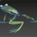 Green Aquatic Frog With Transparent Body And Visible Internal Organs On Grassy Background