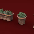 Green Leafy Plants Growing In Rectangular And Round Clay Flower Pots With Markings 3d model
