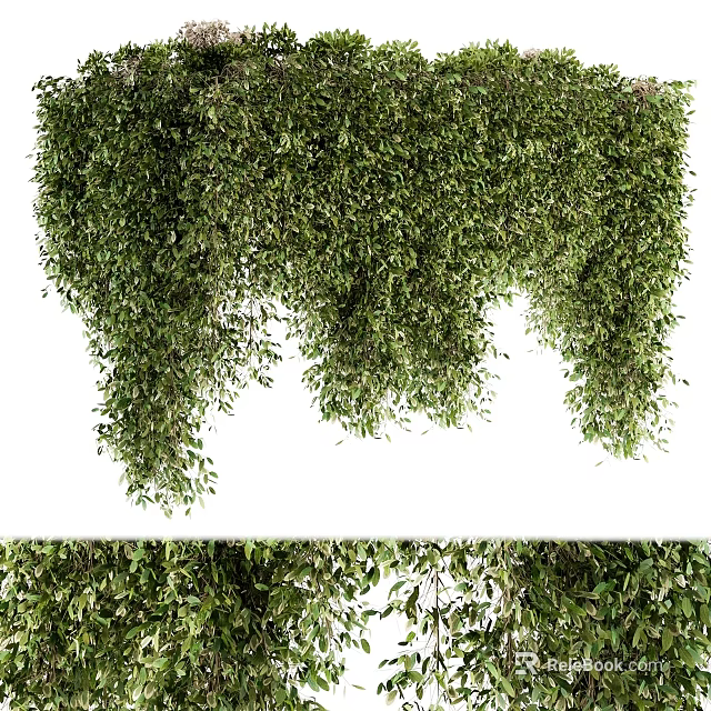 Lush Green Leafy Shrubs With Hanging Branches For Garden Landscaping Decor 3d model 