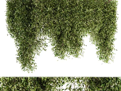 Lush Green Leafy Shrubs With Hanging Branches For Garden Landscaping Decor 3d model