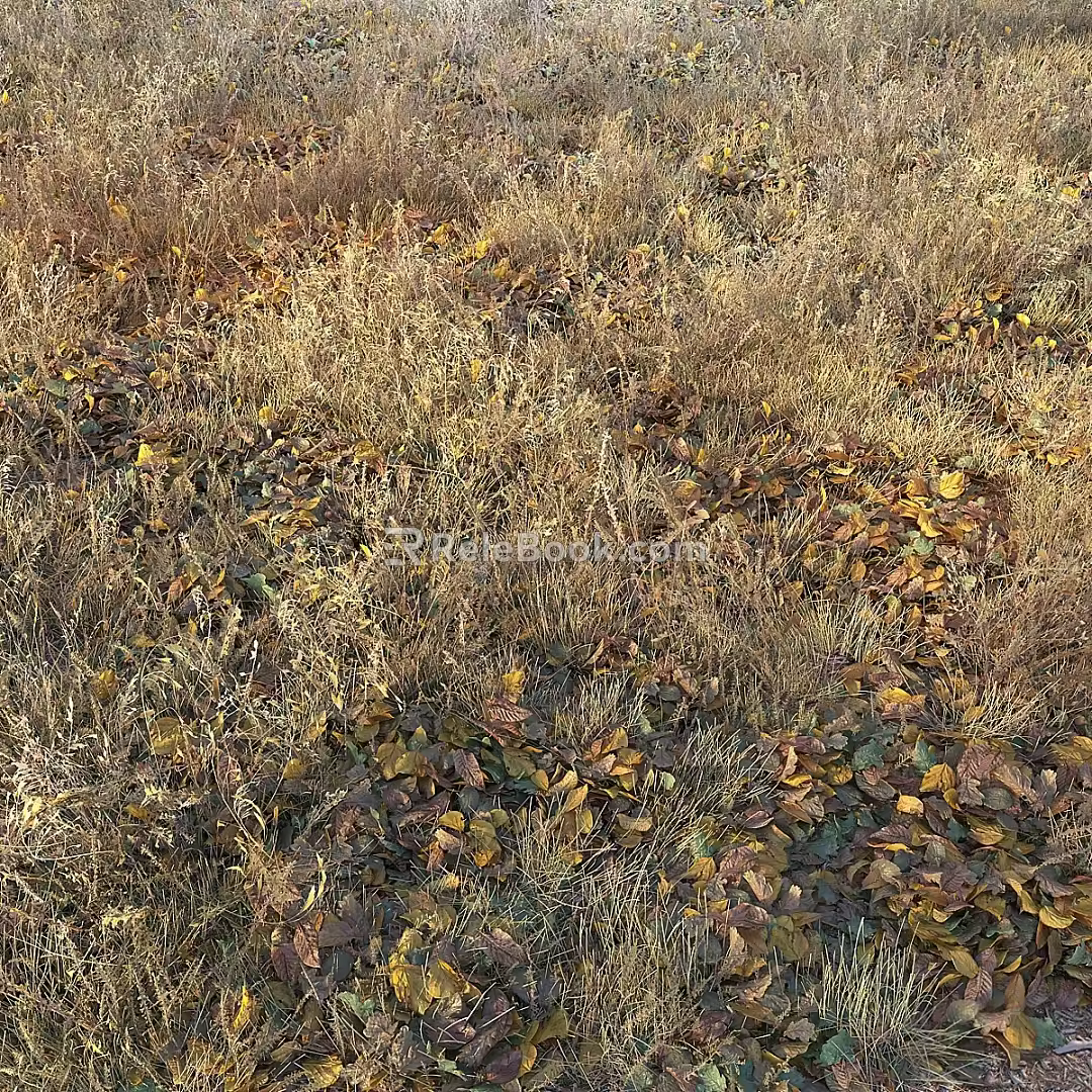modern autumn deciduous dry grass 3d model