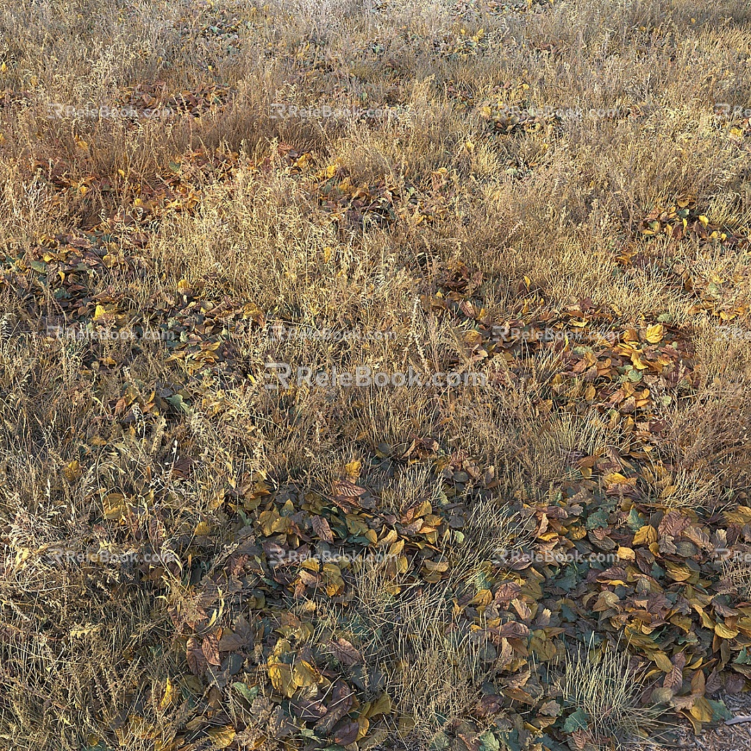 modern autumn deciduous dry grass 3d model