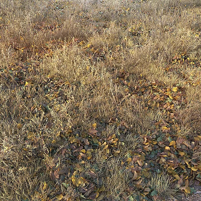 Natural Outdoor Ground Cover Landscape With Dried Grass And Fallen Leaves 3d model