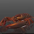 Shiny Brown Lobster On Black Background Close Up Food