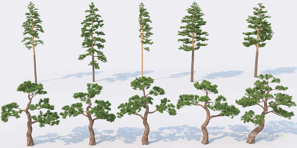Diverse Arbor Types Featuring Varied Heights Unique Canopy Shapes And Textured Trunks 3d model 