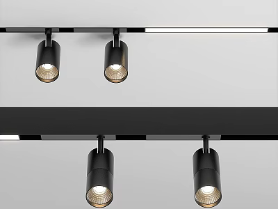 Black Track Ceiling Mounted Downlights And Spotlights With Modern Bright Lighting 3d model