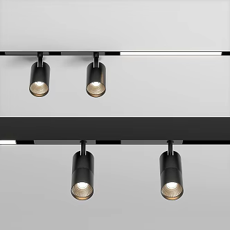 Modern Downlight Spotlight DONOLUX Track Light Spotlight 3d model