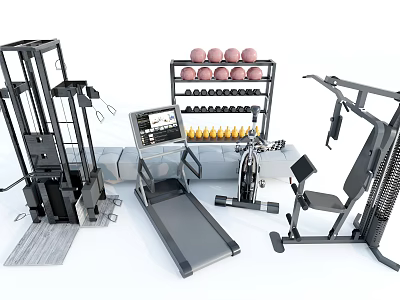 Fitness Gym With Various Exercise Equipment And Gear 3d model