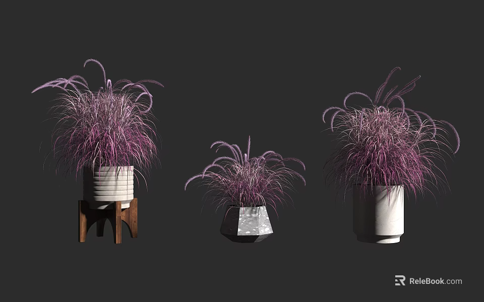 Bonsai Potted Plants With Purple Foliage In Ceramic And Geometric Pots 3d model 