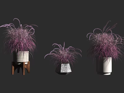 Bonsai Potted Plants With Purple Foliage In Ceramic And Geometric Pots 3d model