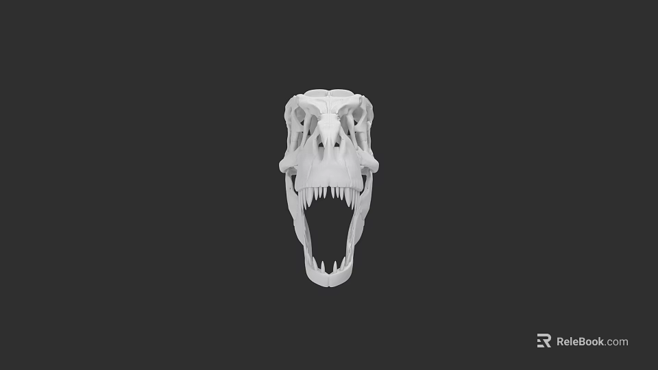 Reptile Dinosaur Skull Model With White Bone Structure On Black Background 3d model 