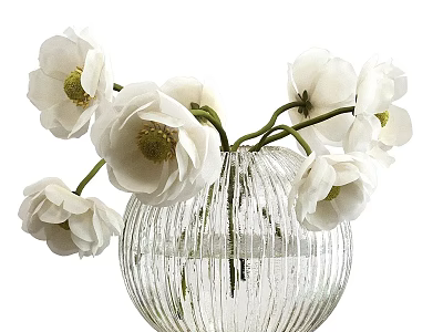 Transparent Ribbed Glass Vase With Fresh White Blooming Flowers For Home Decor 3d model