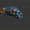 Vibrant Blue Fly With Red Eyes Transparent Patterned Wings And Orange Body