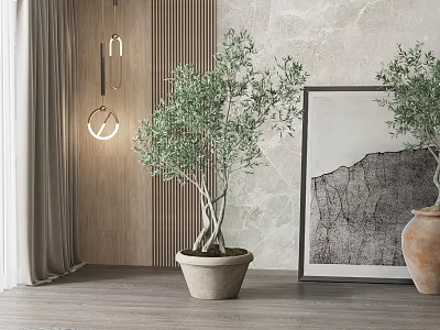 Olive Bonsai Plant In Modern Interior With Wooden Marble Walls Framed Artwork And Light 3d model