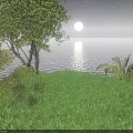Serene Night Landscape With Full Moon Milky Way Ocean Reflection Green Grass And Palm Trees