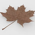 Metallic Leaf Decorative Artwork With Grid Texture And Natural Shape Design 3d model