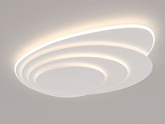 Modern Ceiling Light Halo Ceiling Light 3d model