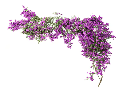 Purple Hanging Vine Flowers With Lush Blooms For Home Garden Decor 3d model