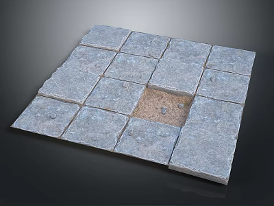 Gray Square Stone Pavers Laid On Ground With Missing Piece Revealing Earth Underneath 3d model