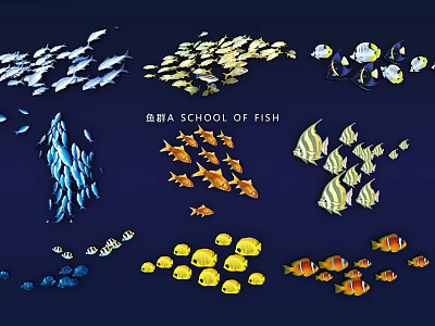 Vibrant School of Fish with Diverse Colors and Multiple Species in Underwater Marine Environment 3d model