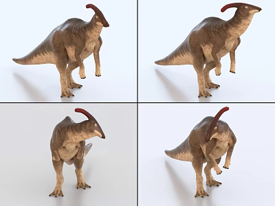 Realistic Dinosaur Model Shown From Four Different Angles With Detailed Texture 3d model