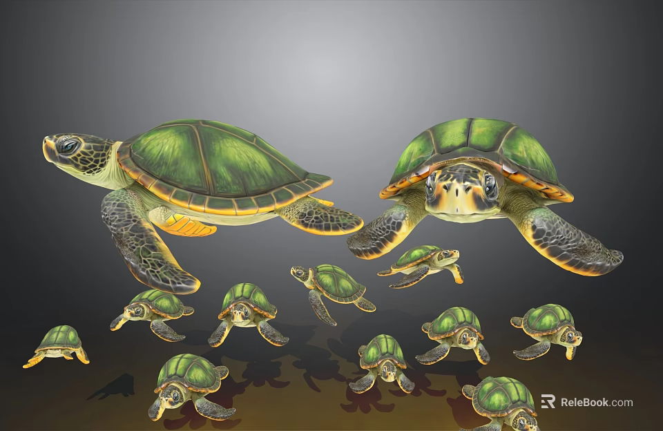 Green Shelled Sea Turtles Aquatic Animals Swimming With Parent And Hatchlings In Ocean 3d model 