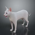 White Cat 3D Rendered Standing On Black Background With Open Mouth And Ears Up