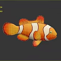 Beautiful Vibrant Orange and White Striped Clownfish Marine Aquatic Animal