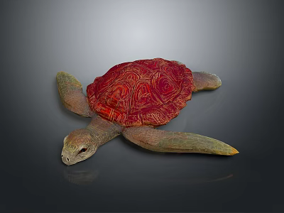 small turtle green turtle big turtle black turtle pacific turtle flat-backed turtle 3d model