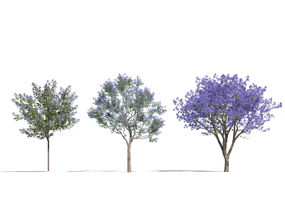 Three Different Flowering Trees With Purple Blooms And Green Foliage Visual 3d model