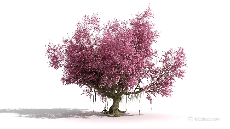 Blooming Arbor with Pink Blossoms Thick Trunk and Hanging Aerial Roots 3d model 
