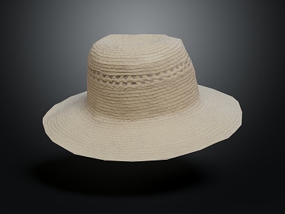 modern hat lady hat straw hat model