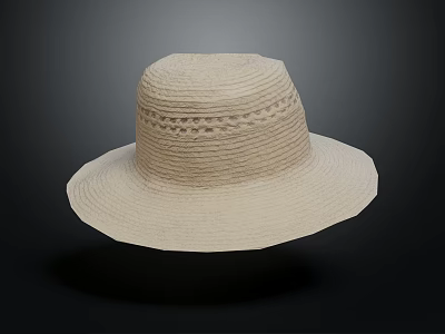 modern hat lady hat straw hat 3d model