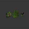 Three Indoor Potted Plants With Lush Green Leaves White Planters And Wooden Stands