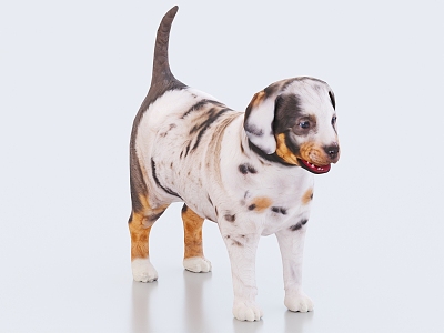 Puppy Pet Dog Pet Dog 3d model