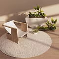 Stylish Leisure Chair On Round Rug With Green Plants And Warm Sunlight
