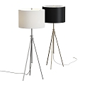 Modern floor lamp Safavieh Cipriana adjustable tripod floor lamp 3d model