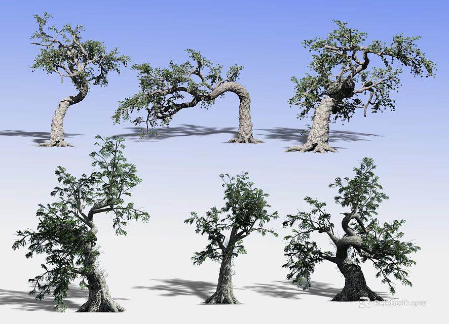 Arbor Trees In Various Forms With Unique Trunk Shapes And Green Foliage 3d model 