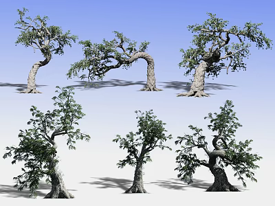 Arbor Trees In Various Forms With Unique Trunk Shapes And Green Foliage 3d model