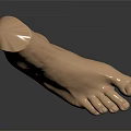 Man's Light Brown Foot 3D Model With Realistic Anatomical Details And Reflection On Black Background