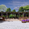 Garden Landscape With Wooden Pergola Purple Vines Flowers People Under Gravel Ground Green Grass
