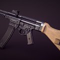 Weapons Assault Rifle 3d model