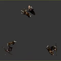 Game Movie Archer Character With Bow And Dog Companion In Standing Jumping Poses