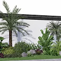 Tropical Garden Landscape with Palm Trees Banana Leaves Green Plants and Stones Against White Wall