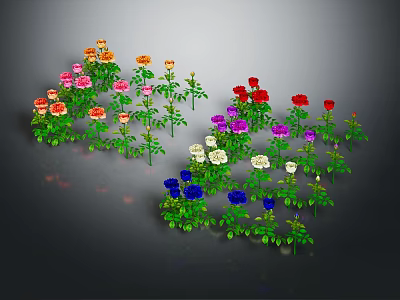 Various Colored Roses with Green Leaves in Garden Flower Collection 3d model