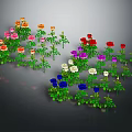 Various Colored Roses with Green Leaves in Garden Flower Collection