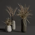 Minimalist Ceramic Vases With Dried Wheat Ears In White Gray And Dark Gray Styles