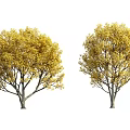 Arbor Trees Featuring Green and Yellow Foliage in Different Seasons 3d model