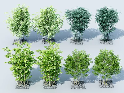Various Bamboo Plant Varieties With Green Foliage On Stone Bases 3d model