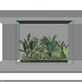 Tropical Plants in Glass Container with White Brick Wall and Small Lights Decoration